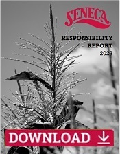 Responsibility Report Download